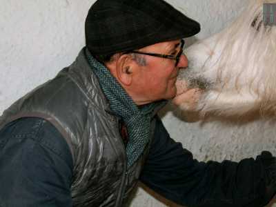 Il ritratto della perfetta sintonia tra il collezionista e i suoi cavalli